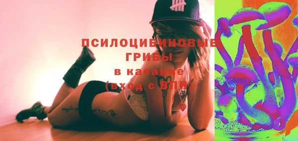 крисы Алзамай