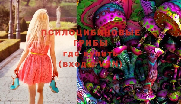 герыч Алексин