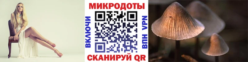 Галлюциногенные грибы мухоморы  Болгар 
